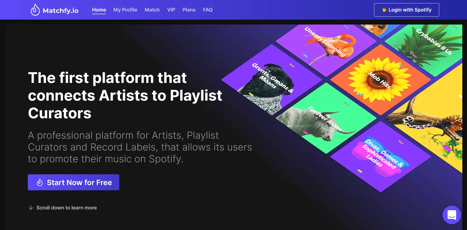Here is Matchfy! What it is and why you should use it