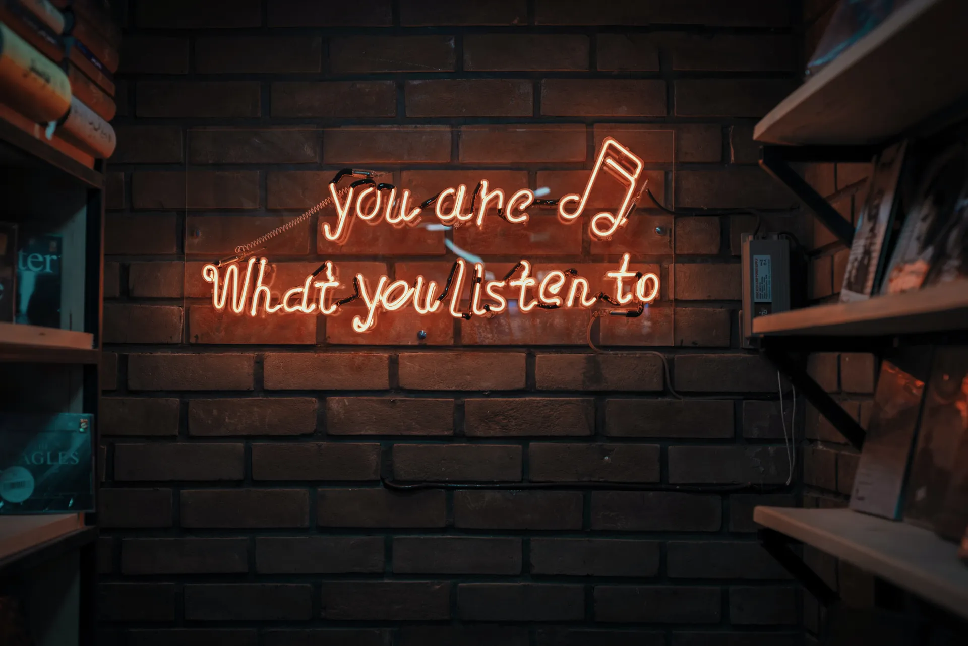 Elevate your music experience: Let's explore the artist's playlists on Spotify