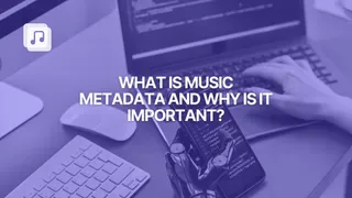 What is music metadata and why is it crucial for your music career?